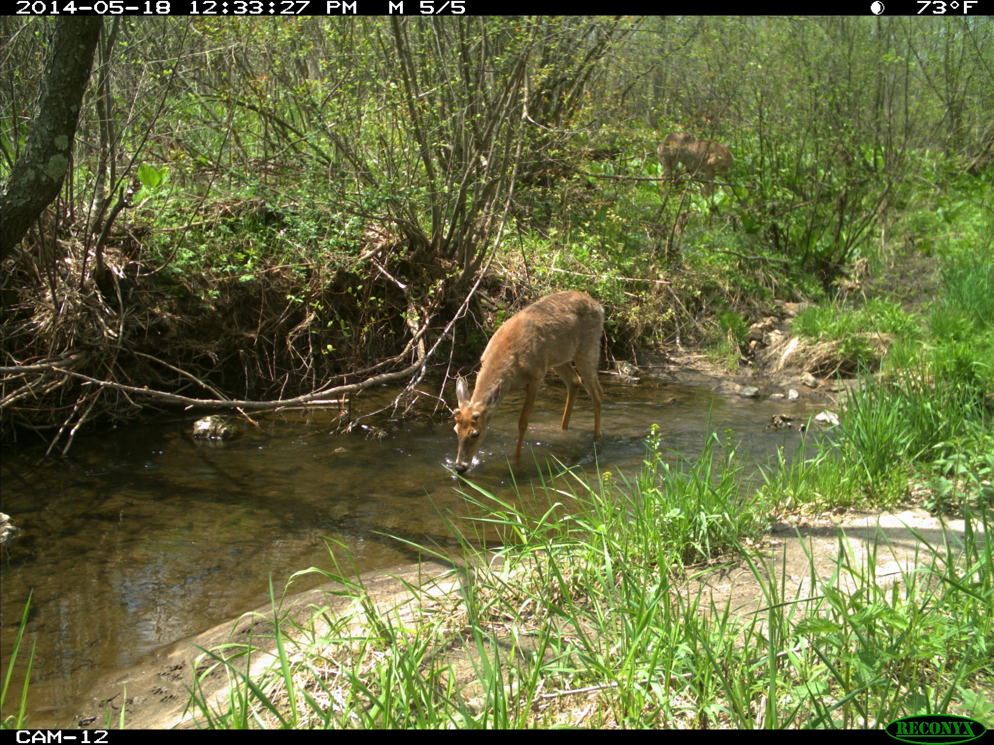 2014-05-18 12-33-27 M 5_5.JPG