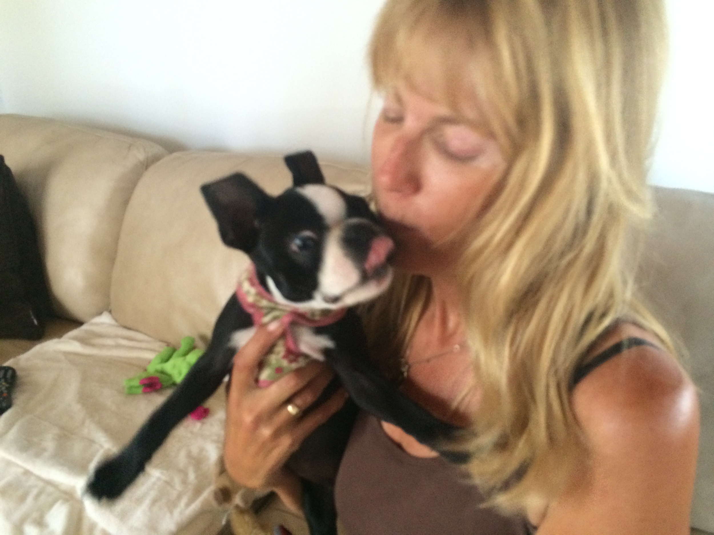 bost terrier kiss from tricia.JPG