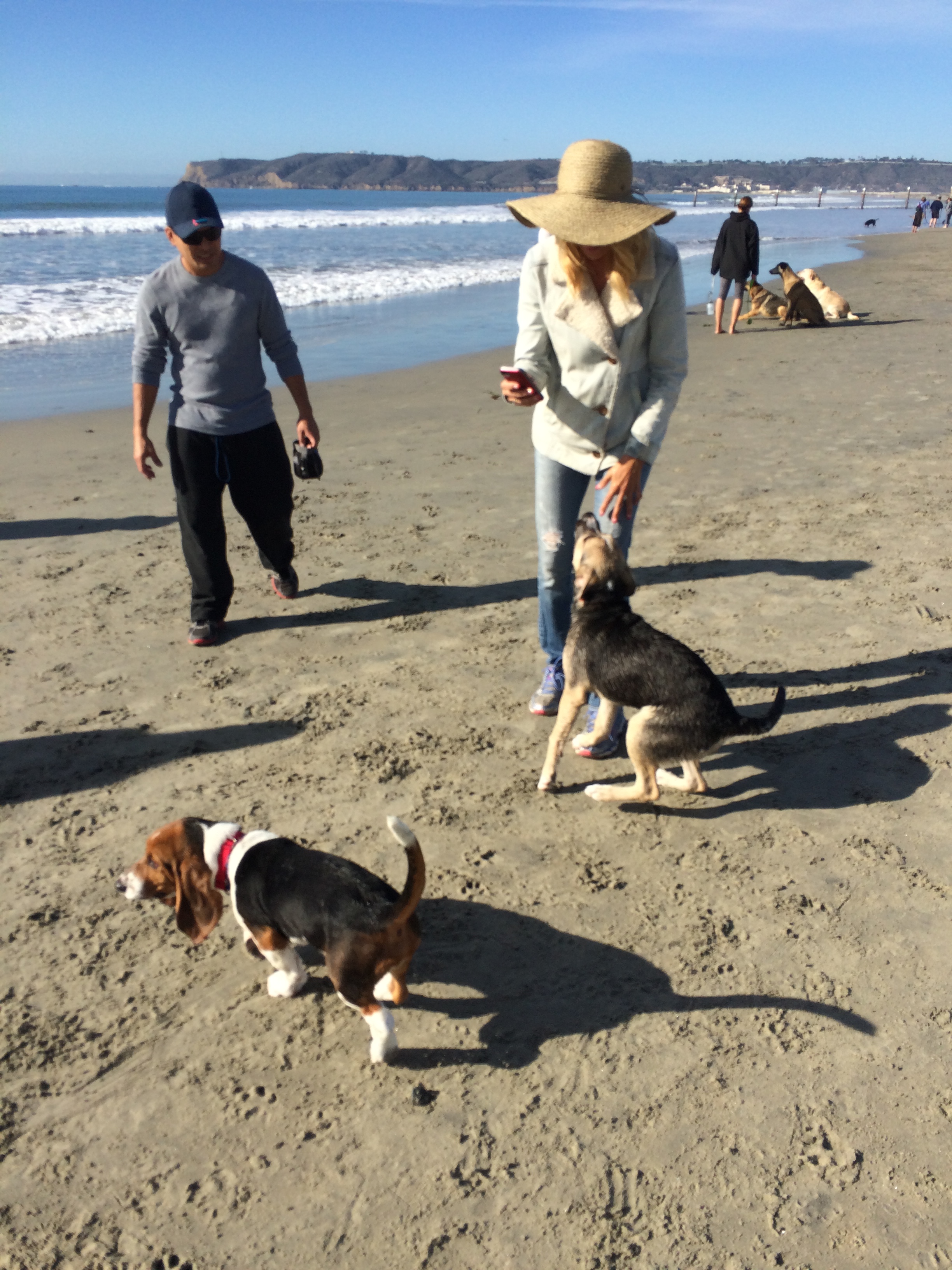 misc dogs dog beach tricia.JPG