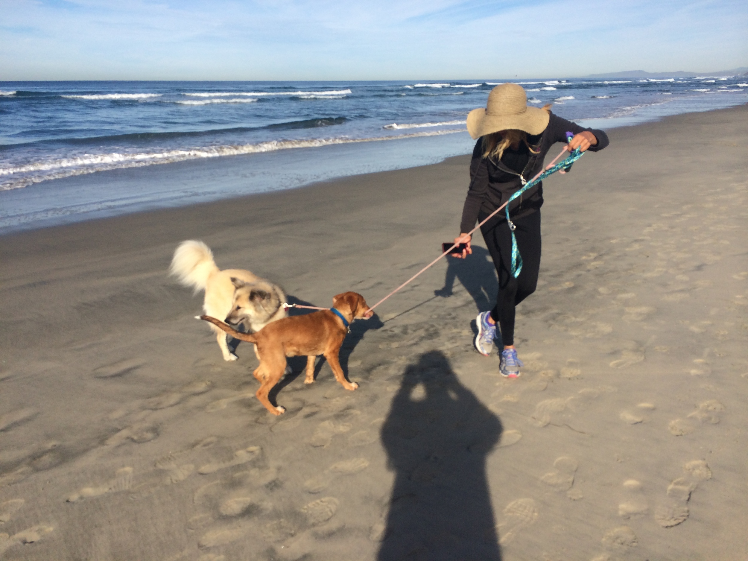 two dogs del mar tricia.JPG