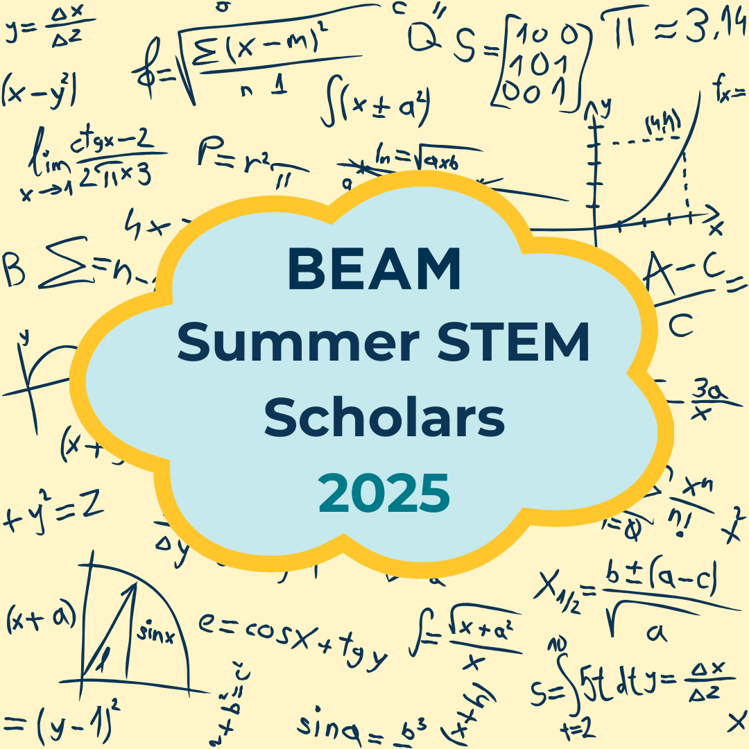 Introducing This Year's Jane Street and Hudson River Trading Summer STEM Scholars! 