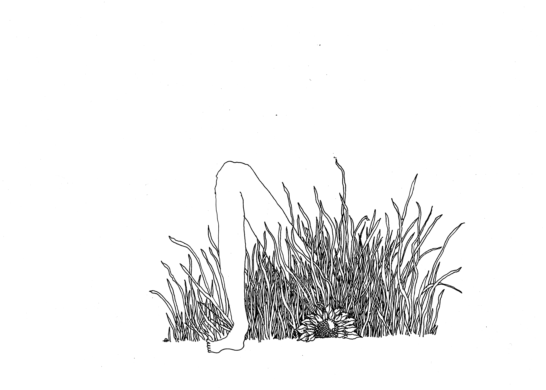 2018-01-26 001 lay me down in the tall grass copy.jpg