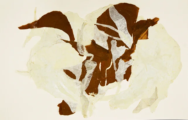 Untitled #22