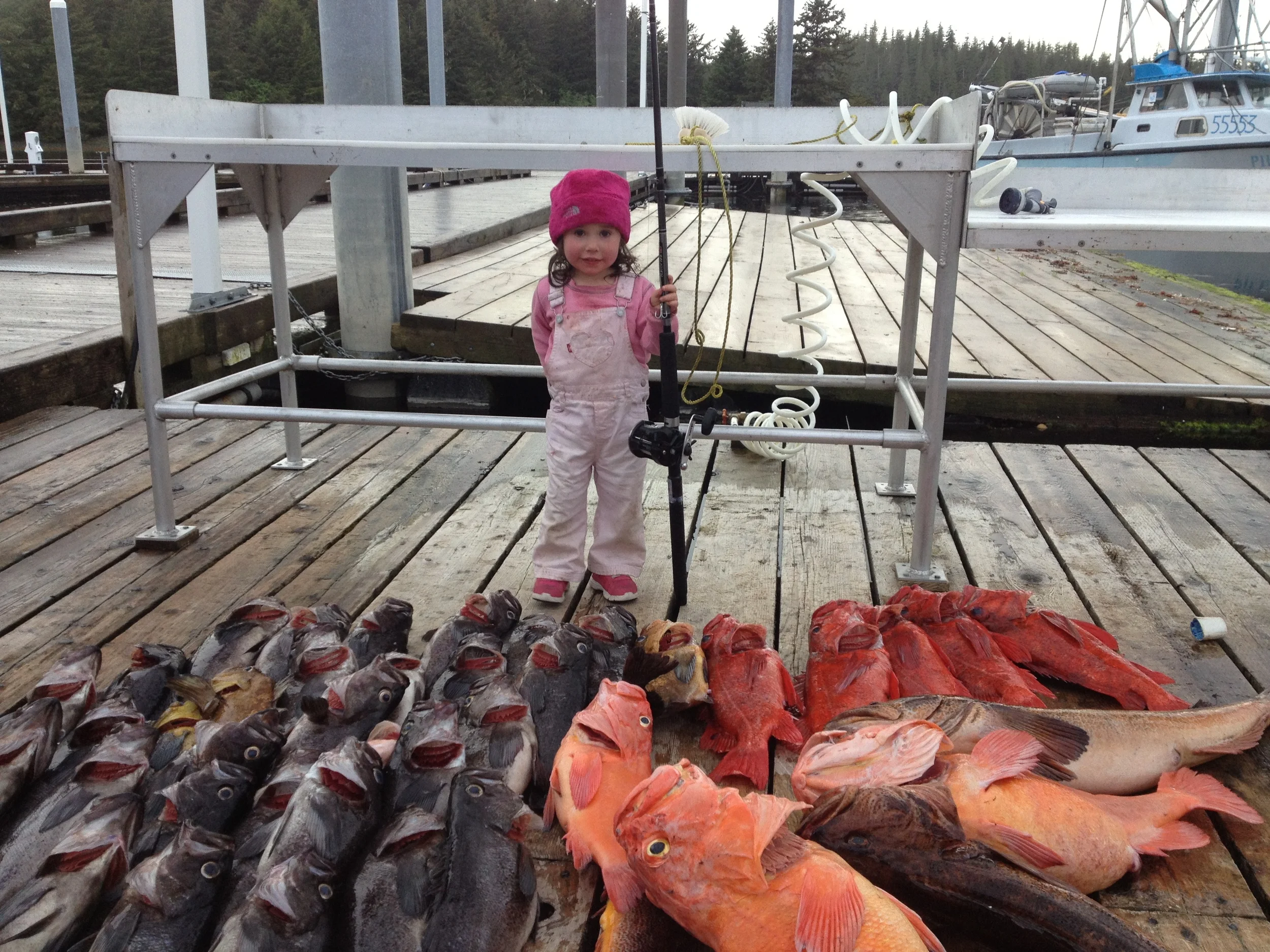 Coffman Cove Alaska Fishing Lodge Misty Sea Charters & Lodging