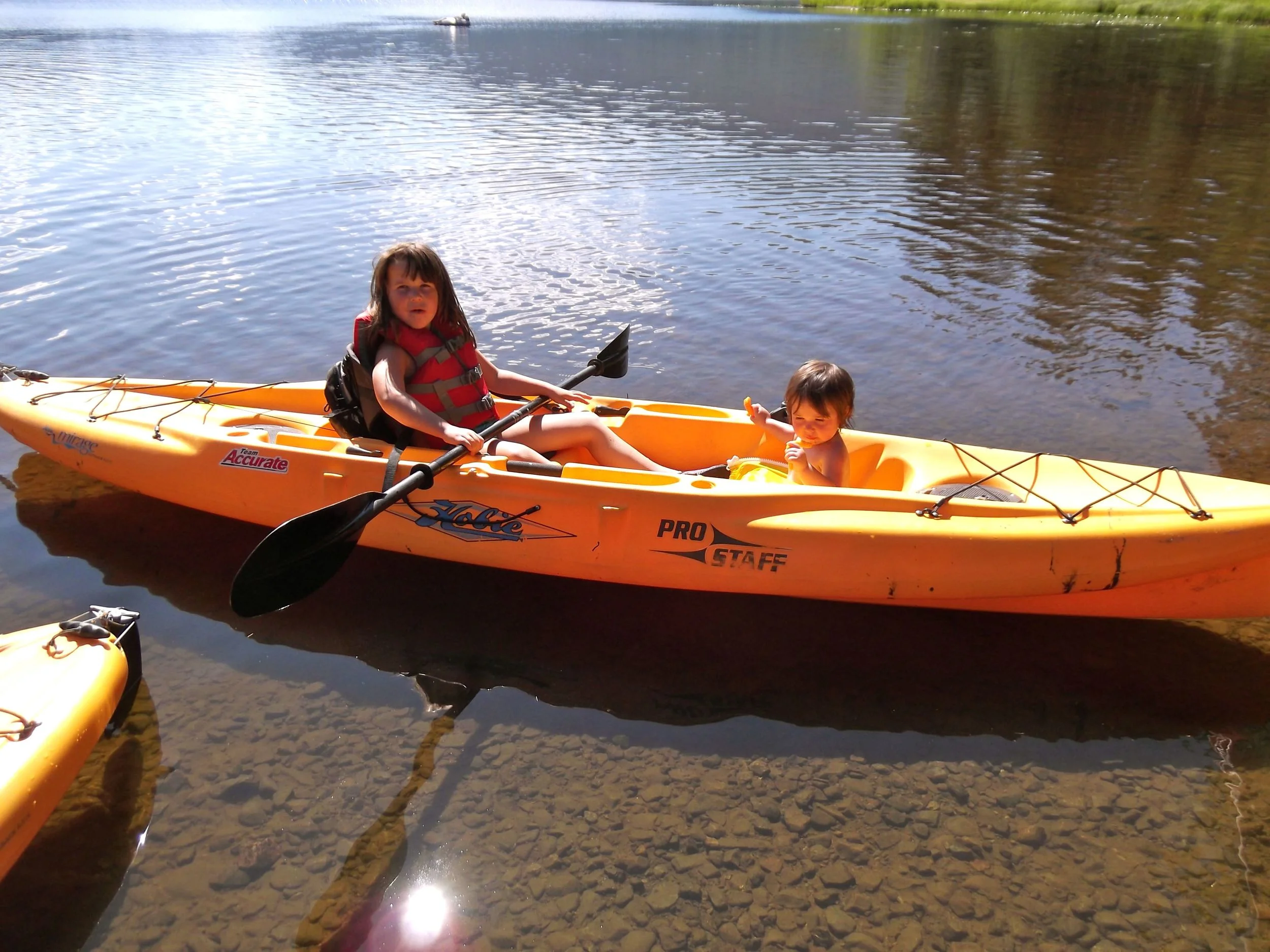 Coffman Cove Alaska Fishing Lodge Misty Sea Charters & Lodging