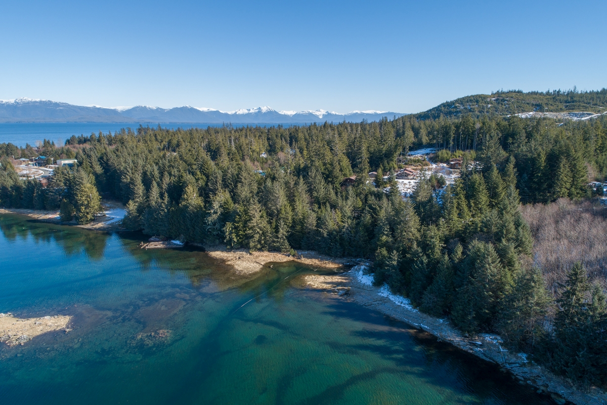 Coffman Cove Alaska Fishing Lodge Misty Sea Charters & Lodging