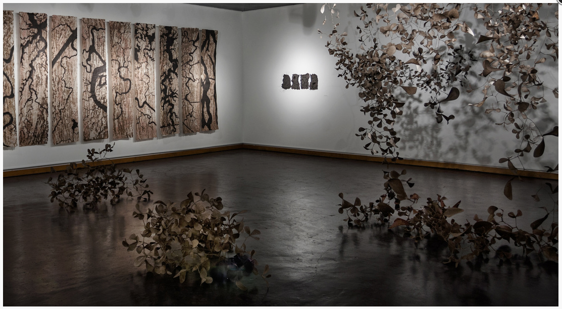 Eight Thousand Daughters Woven Into Bayou Braids, Installation shot, 2012 Louisiana