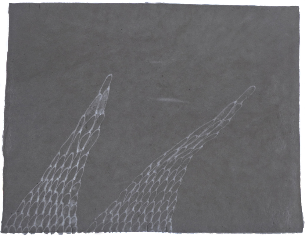 Watermark, Myszka Lewis, Spring 2014