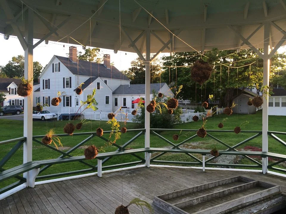 Kokedama in your landscape, 2014, Eastport, Maine