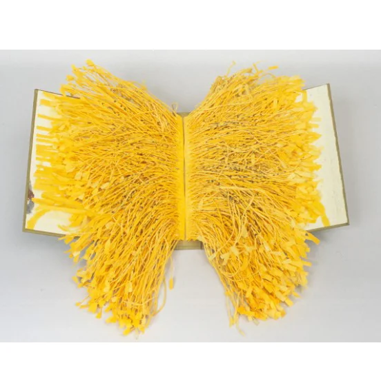 Spun into Gold, First 11 Words, 2002, archival inkjet printed on spun mulberry papers, 7" x 6" x 1.5", 2 editions, each of 3