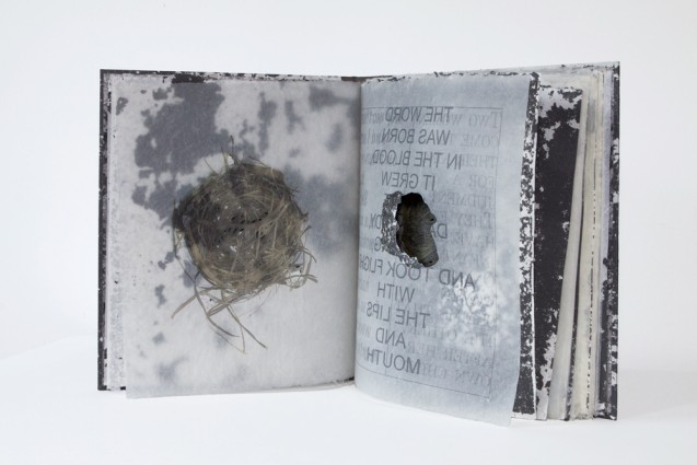 Solomon's Wisdom: A Fable, A Poem, A Eulogy, A Dream, 10 nests and 8 holes, 2011, archival inkjet printing on Dobbin Mill papers, stainless steel staples, 13" x 12", edition of 15