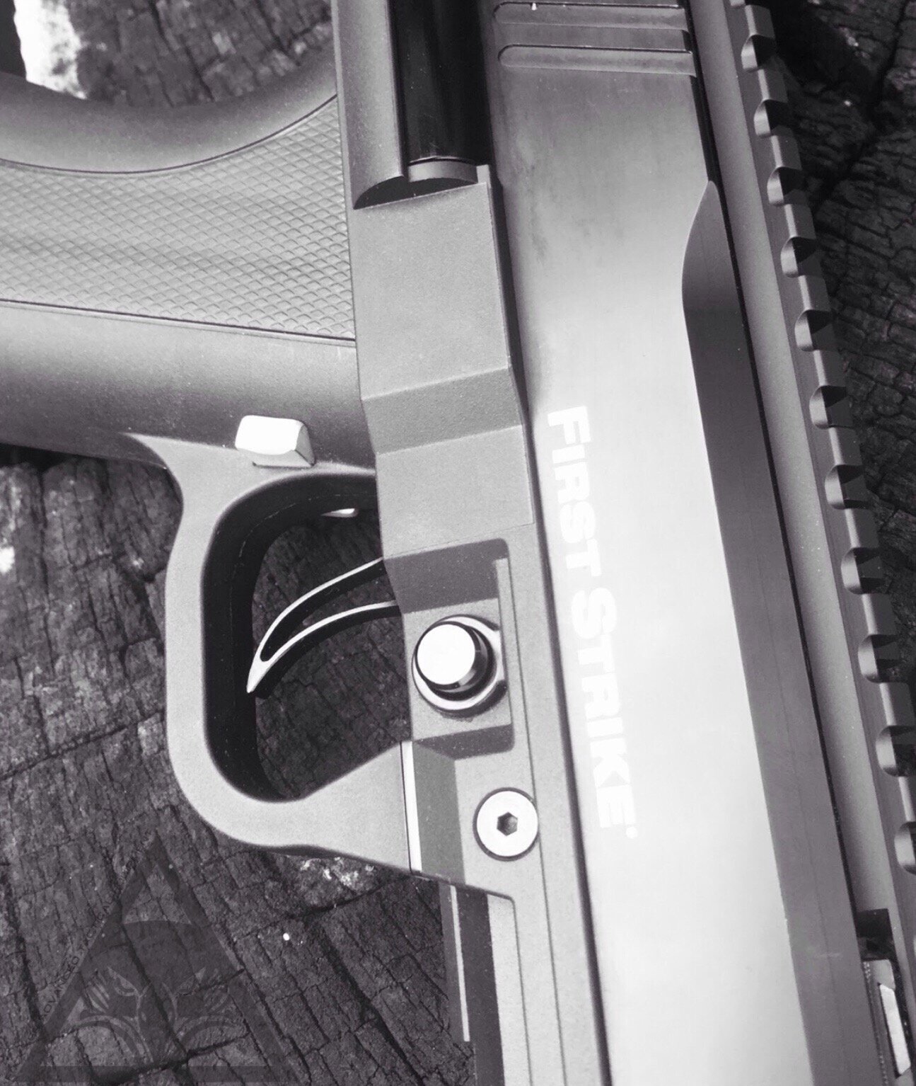 FATE FSC Backbone Tactical Rail IMG02