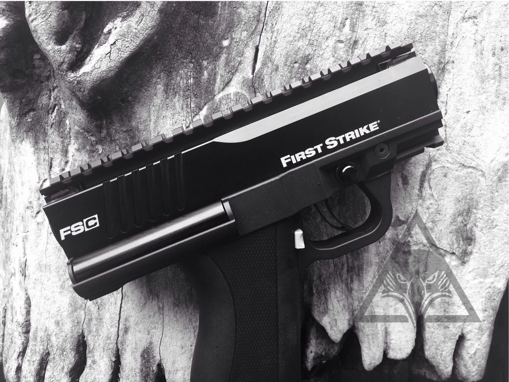FATE FSC Backbone Tactical Rail IMG01