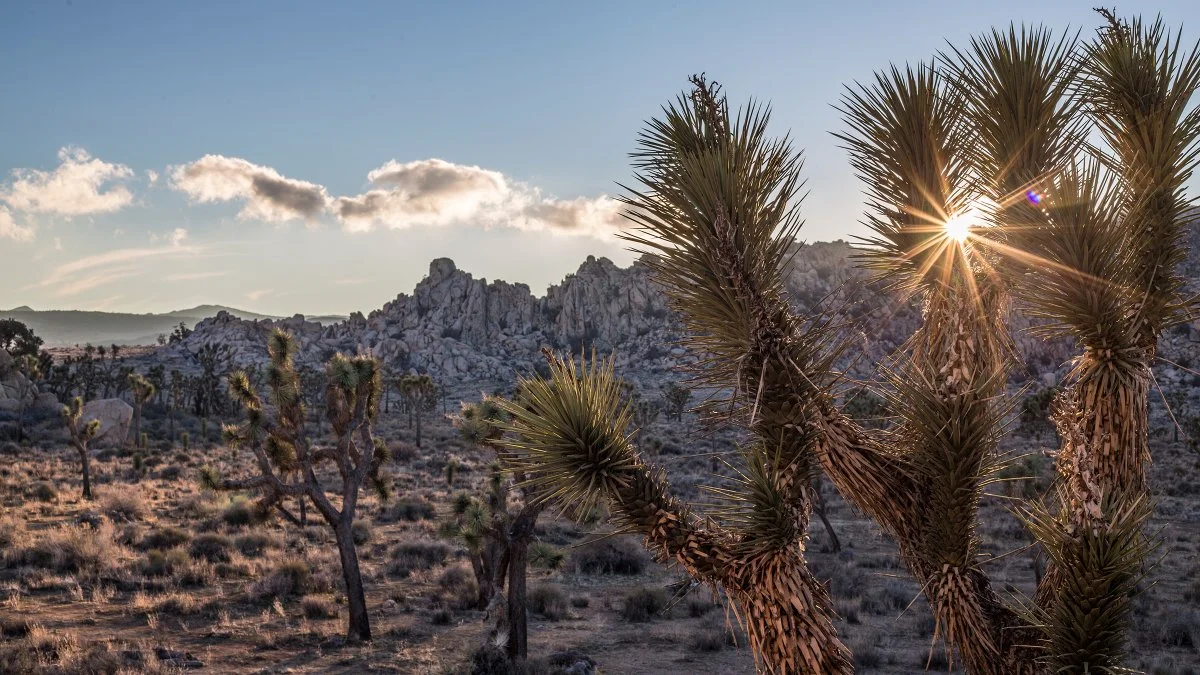 5 Disappearing Natural Wonders