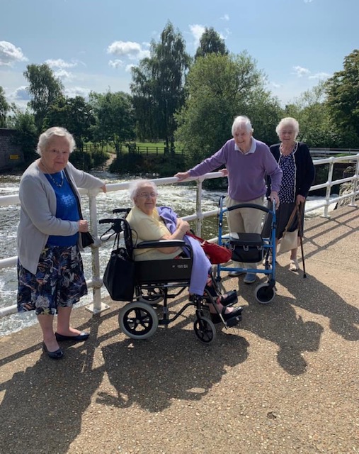 A trip to Teapot Island — The Chestnuts