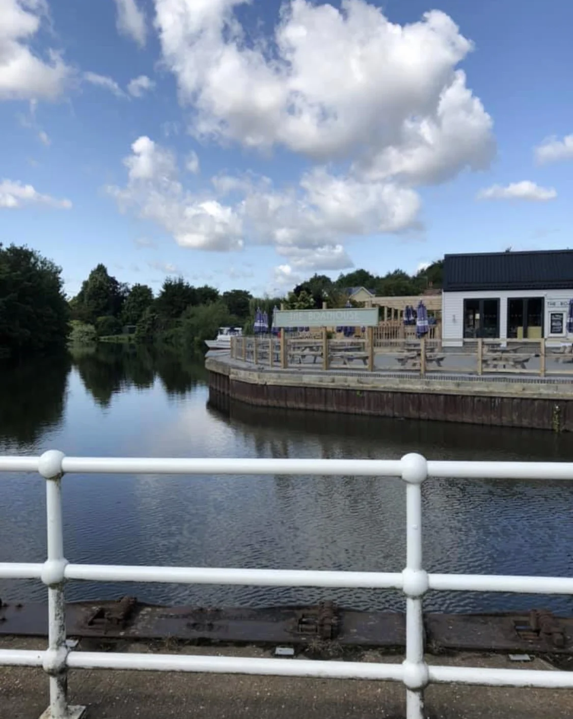 A trip to Teapot Island — The Chestnuts