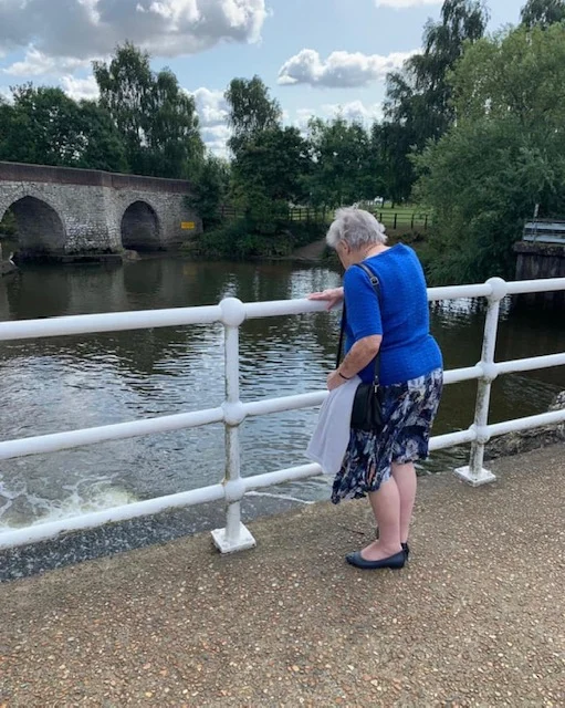 A trip to Teapot Island — The Chestnuts