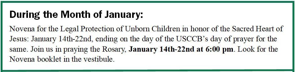 SacredHeartNovenaDate&Time.PNG