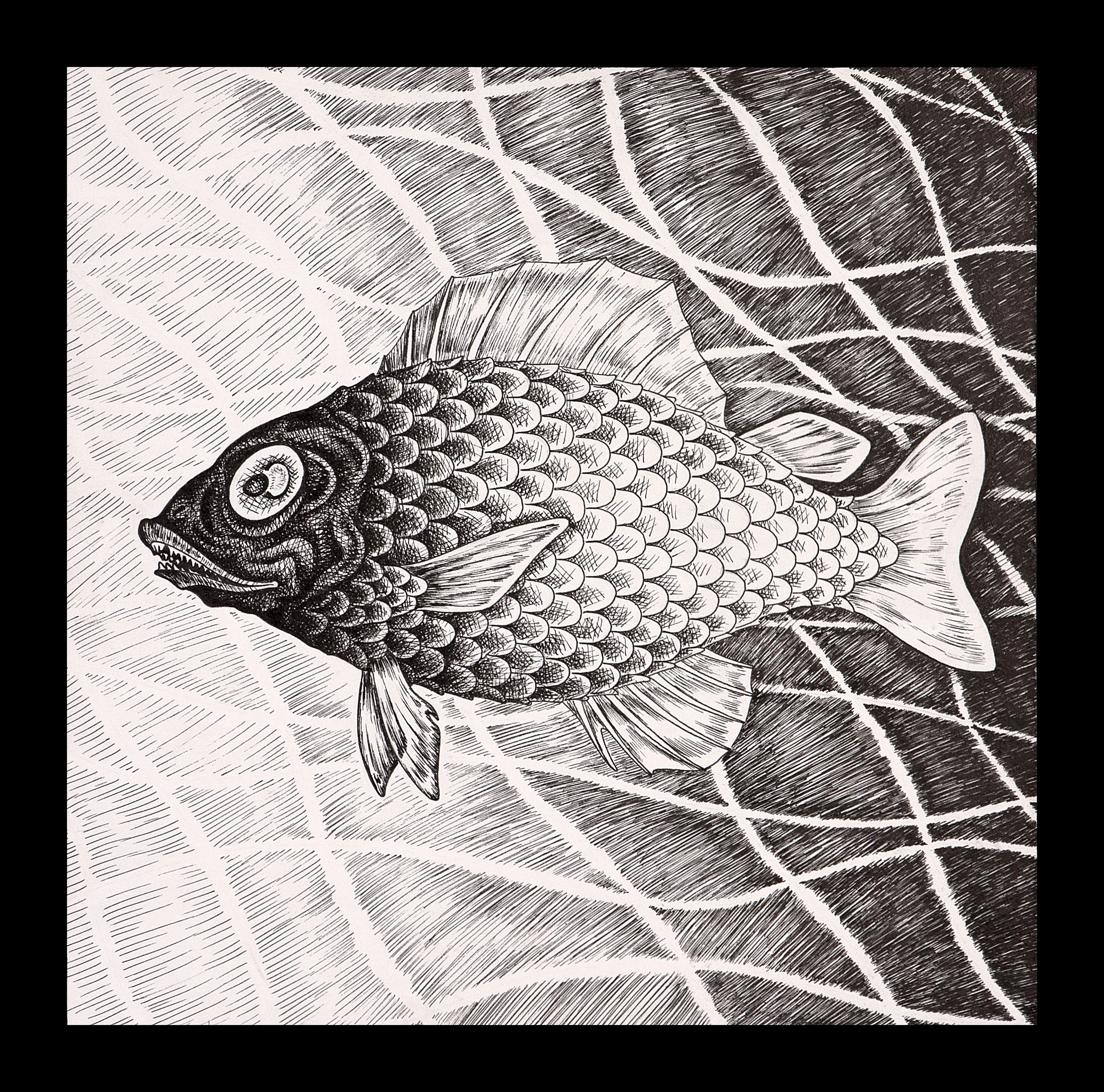 I Wish , I Wish I Was a Fish