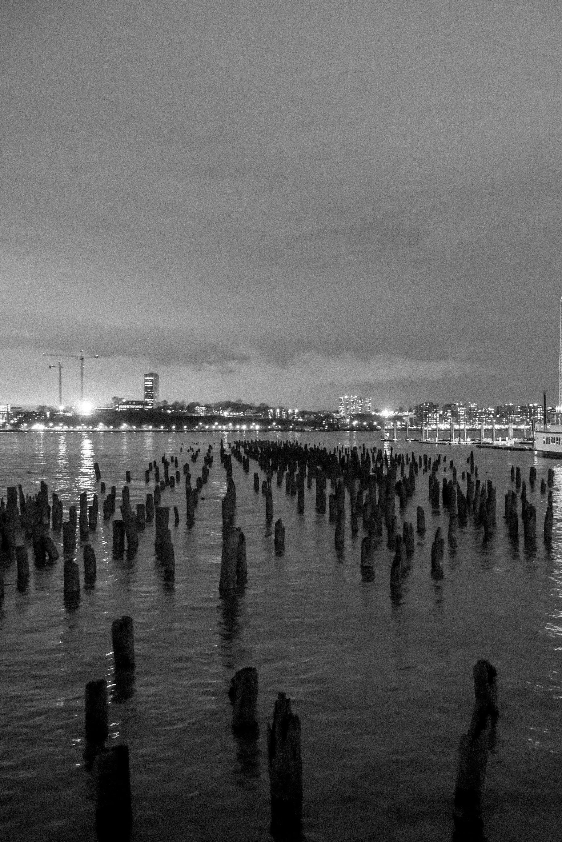 P1230284.jpg