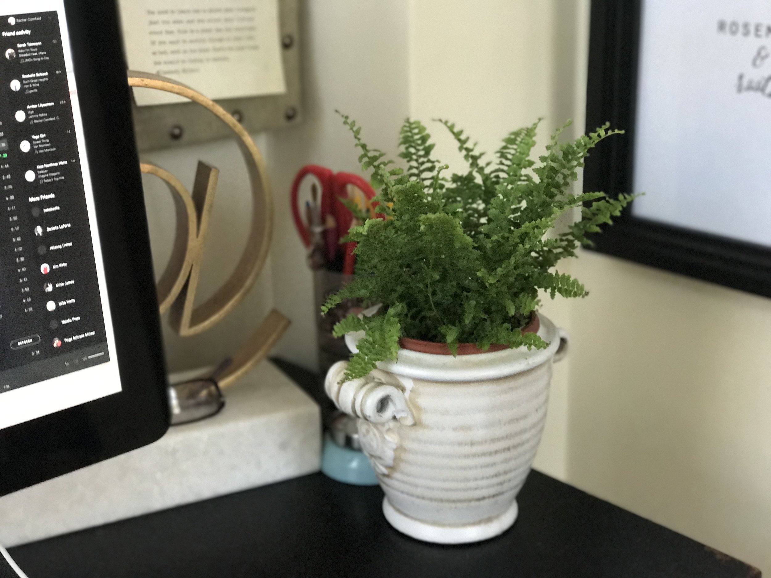 I bought a new abundance fern for my desk :) 
