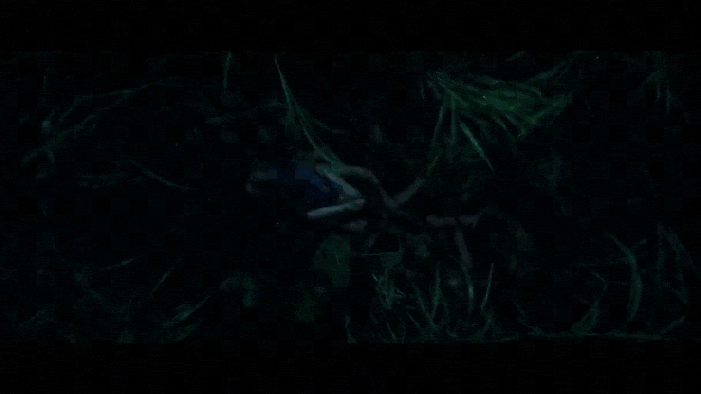 Mini Reel JJ (2).gif