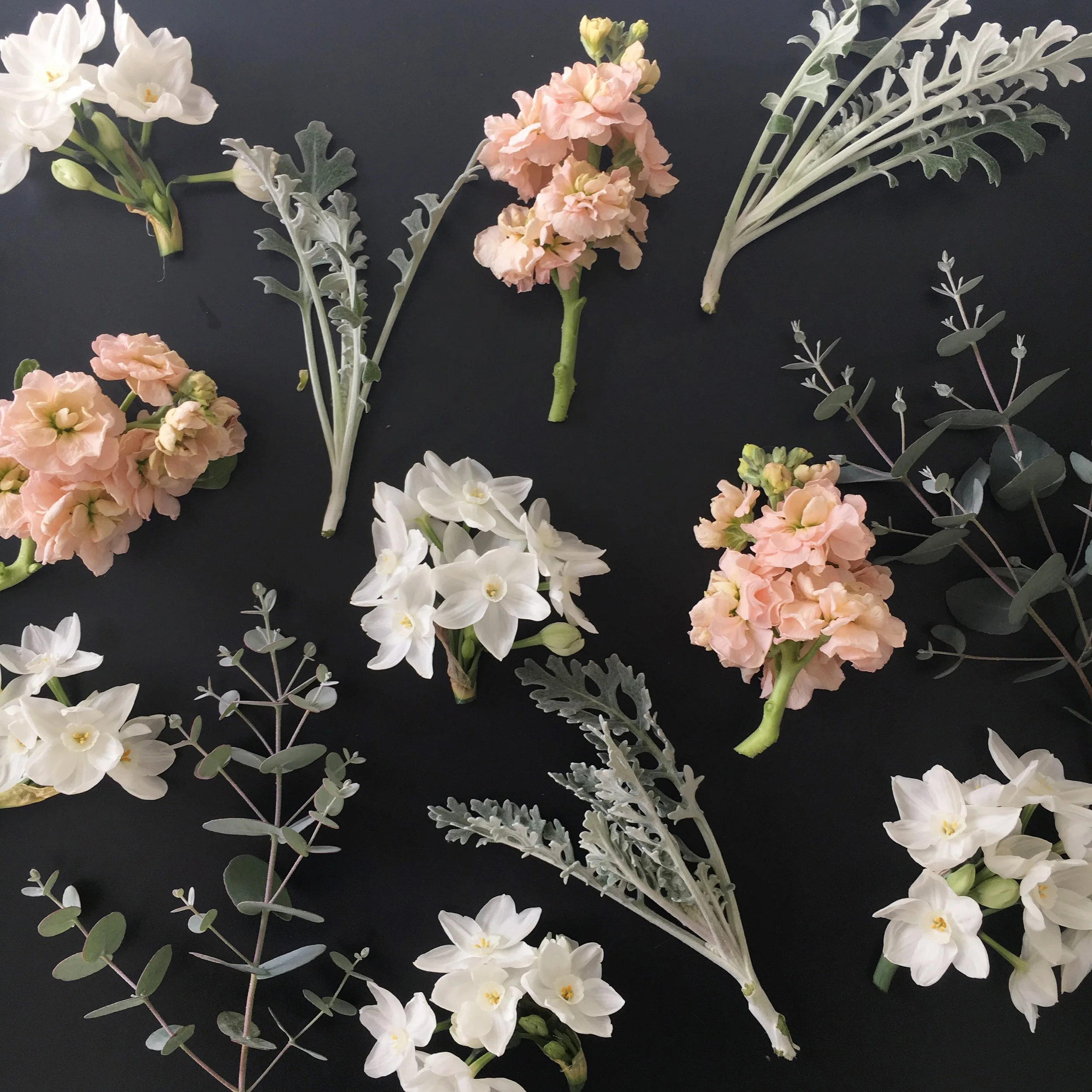 Bits and pieces from the farm this week - paperwhite narcissus, apricot stock, dusty miller and eucalytus.