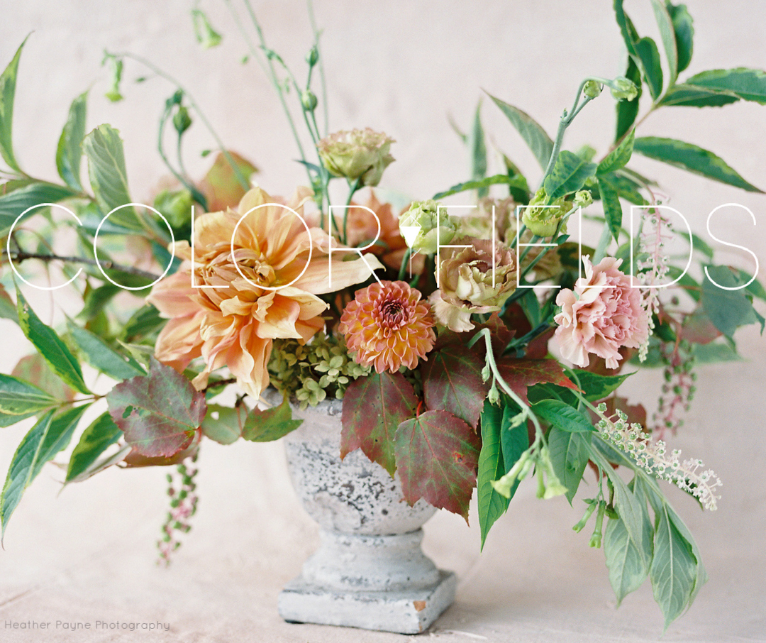 Color Fields Organic Seasonal Compote Arrangement