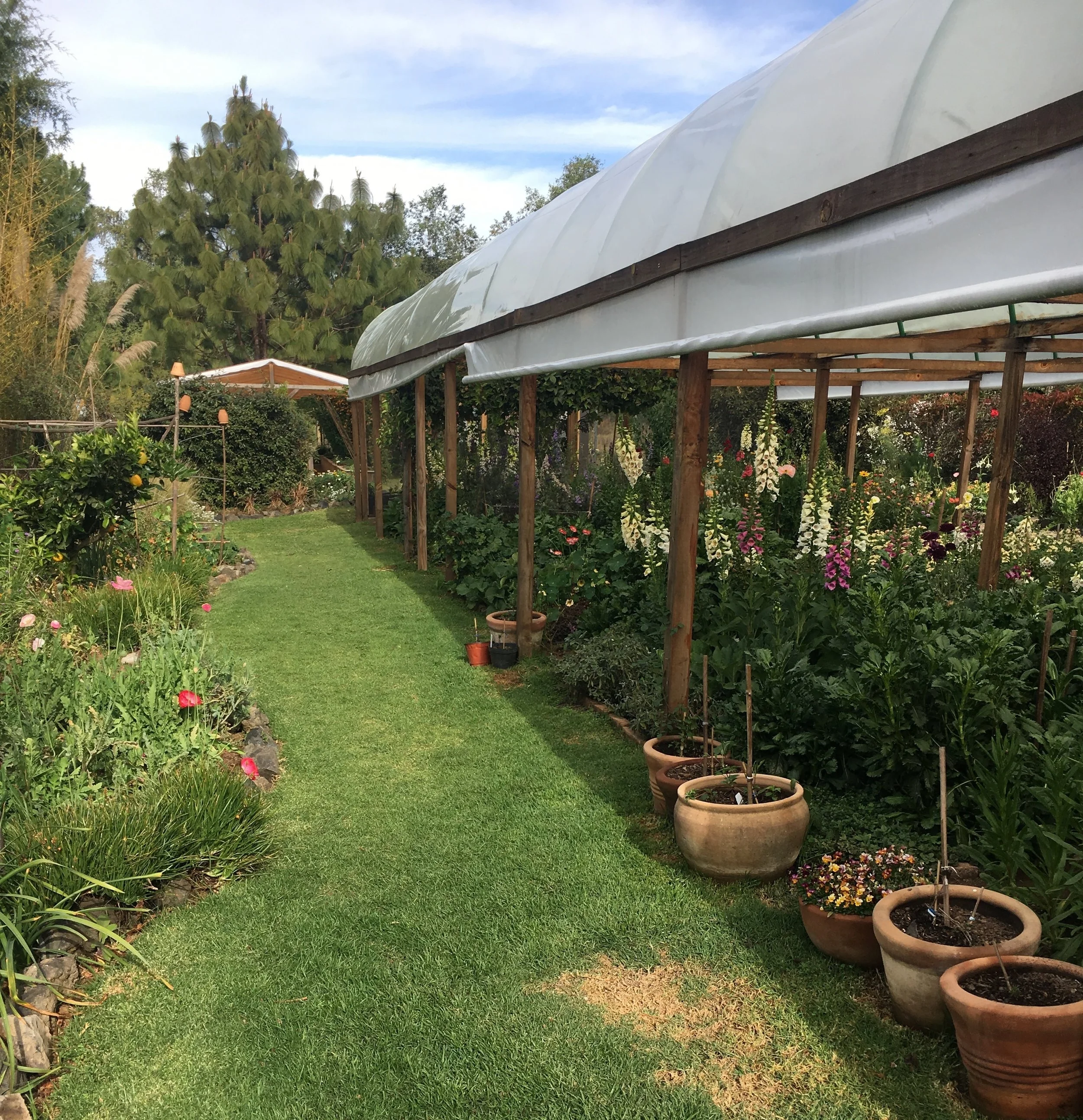 The gardens in Valle de Bravo.