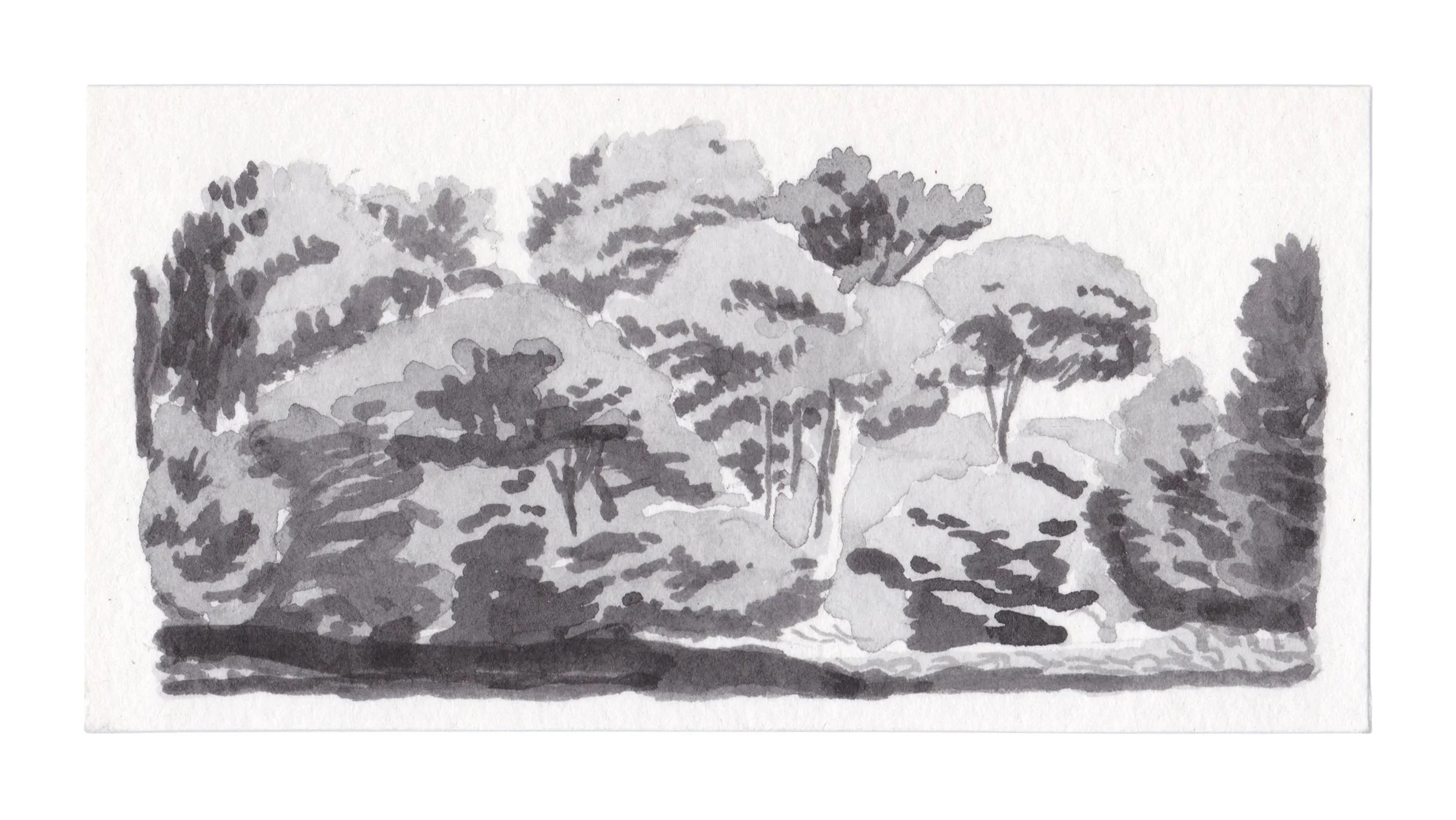  Tree Study, 2” x 4”, Watercolor on Paper, 2024 