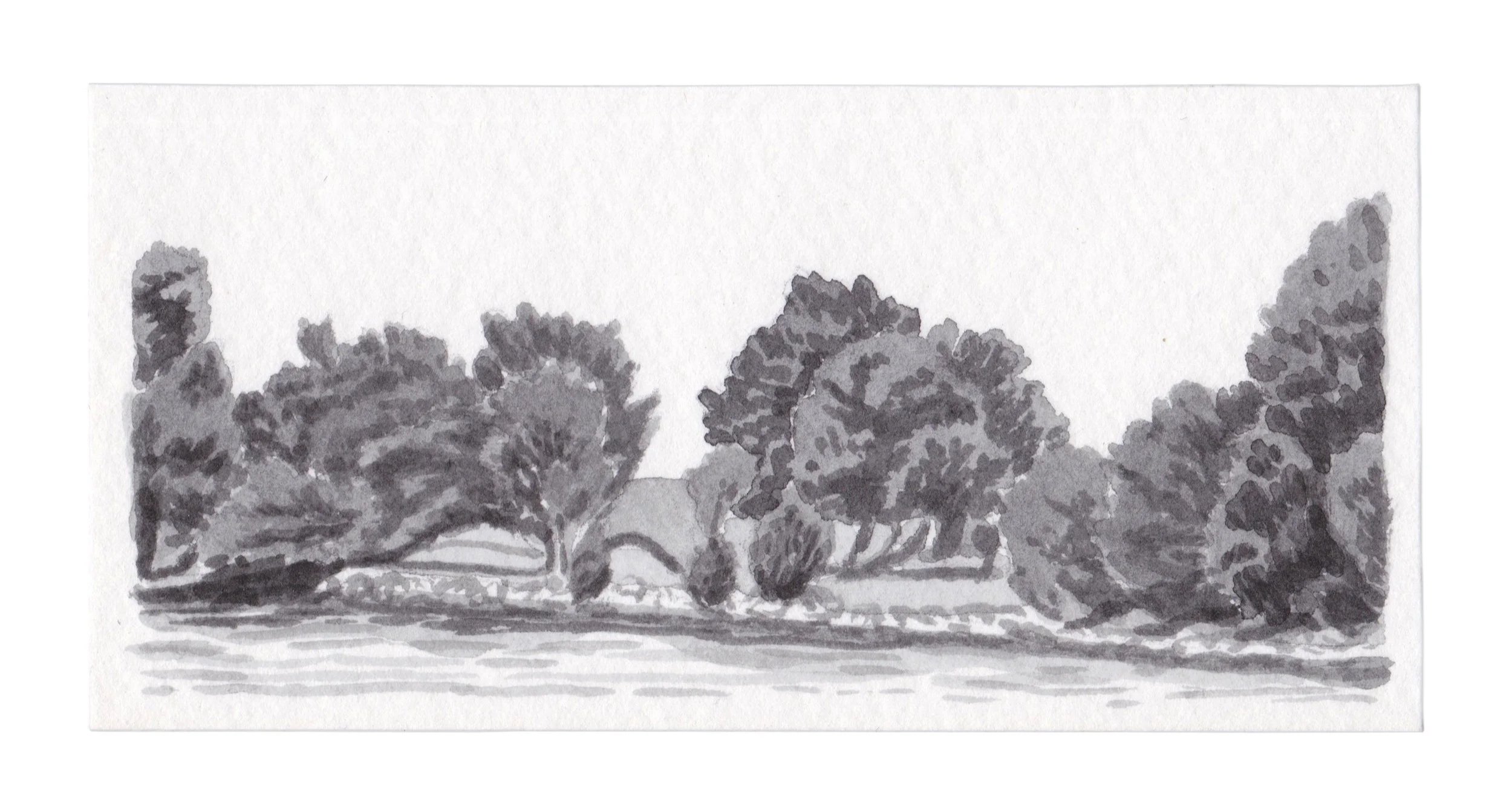  Tree Study, 1 7/8” x 3 13/16”, Watercolor on Paper, 2024 