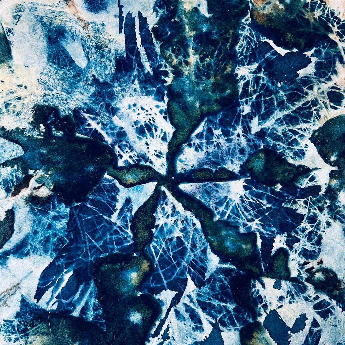 Two little #kaliedoscope #vortex prints happened while listening to #jamesgleick Time Travel: A History. These were made using #wetcyanotype techniques and the traditional #cyanotype processes over multiple extended exposures.
.
.
#amandabesl #vortex