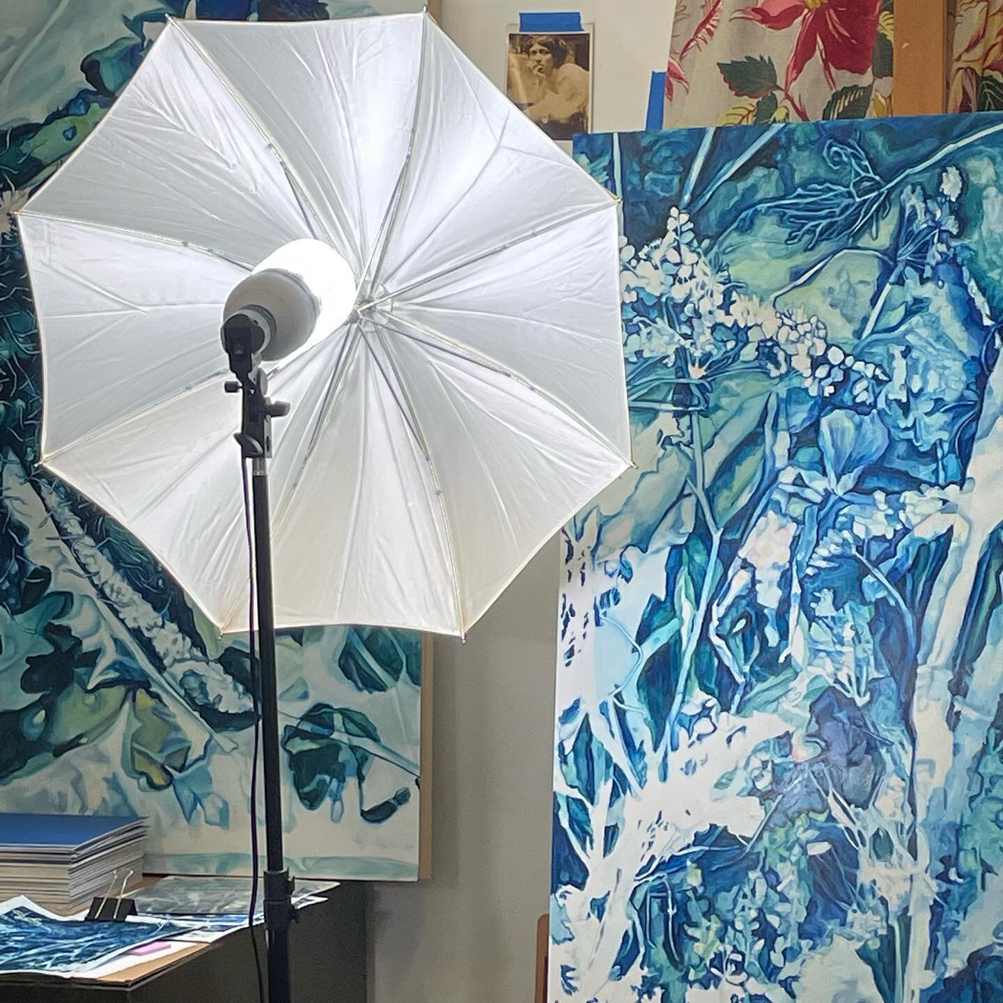 #almostdone I&rsquo;m documenting work in the studio today! My show Blue Mythologies opens next week @raftofsanity #seeyououtthere 
.
.
#amandabesl #ecogothic #amandabeslstudio #blue #bluemythologies #artshow #photographingart #botany #inthestudio #d