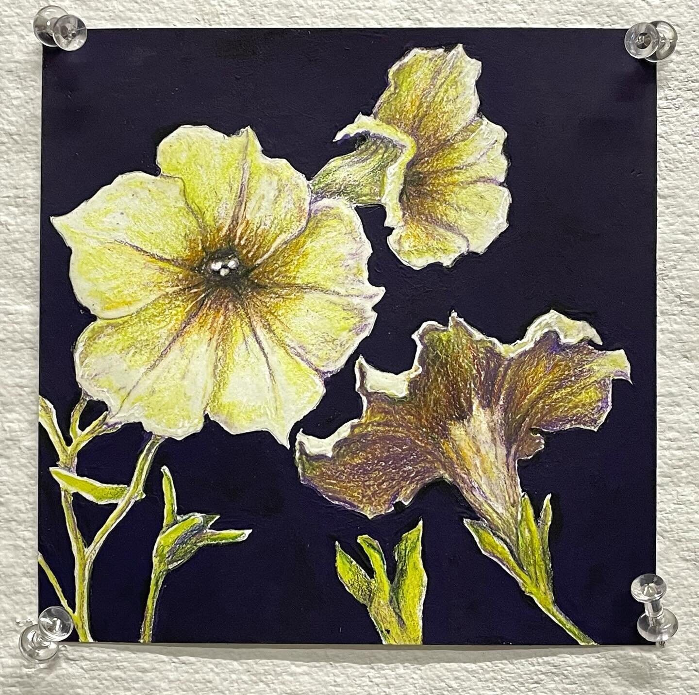Here&rsquo;s something new from me for this year&rsquo;s #liveonfive2024 Buffalo Art Studio&rsquo;s virtual auction featuring 5&rdquo; by 5&rdquo; works by local artists! https://www.buffaloartsstudio.org/live-on-five-2024/

My new #botanical drawing