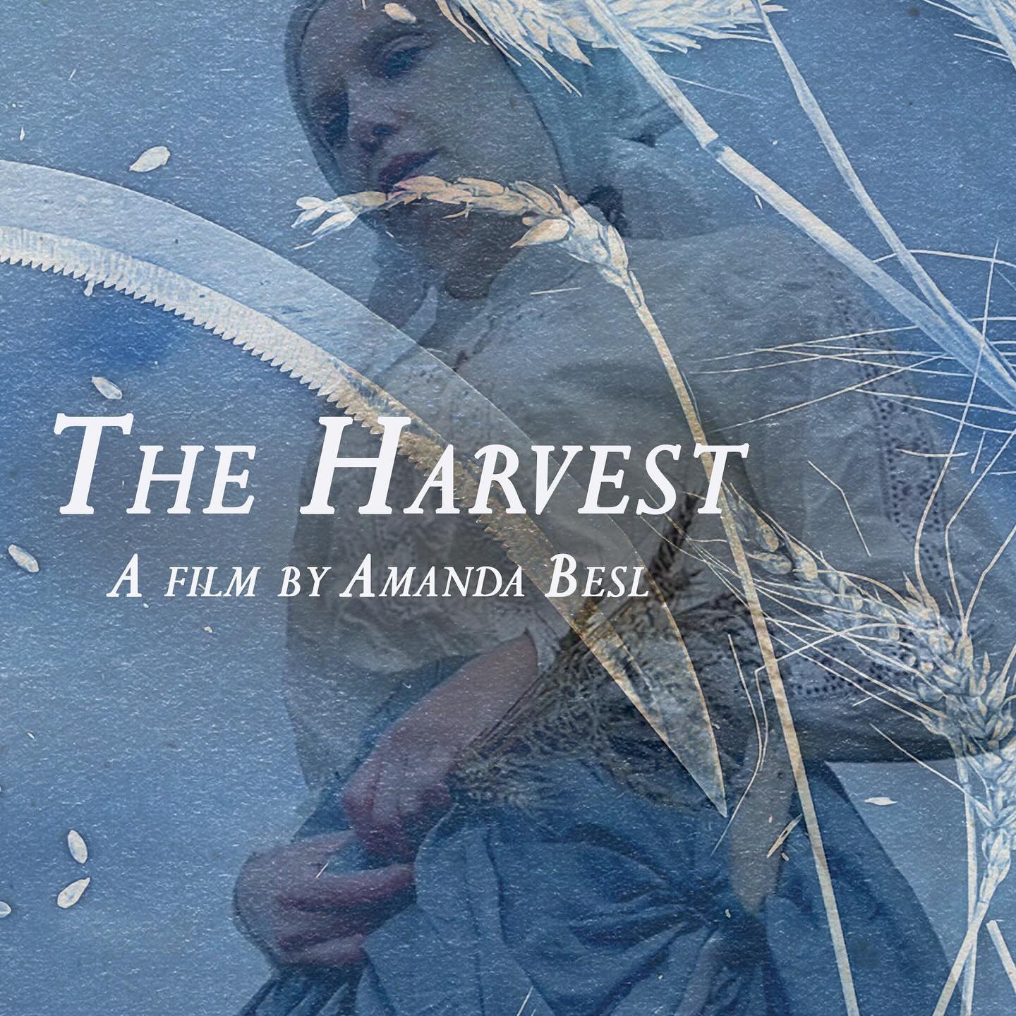 This Saturday, May 4th, my #shortfilm will be screened @nccfilmfestival in #sanborn NY This #ecogothic #experimentalfilm began as a #videoinstallation within a grain silo in the Old First Ward of Buffalo as part of @artplaygroundny and last fall it w