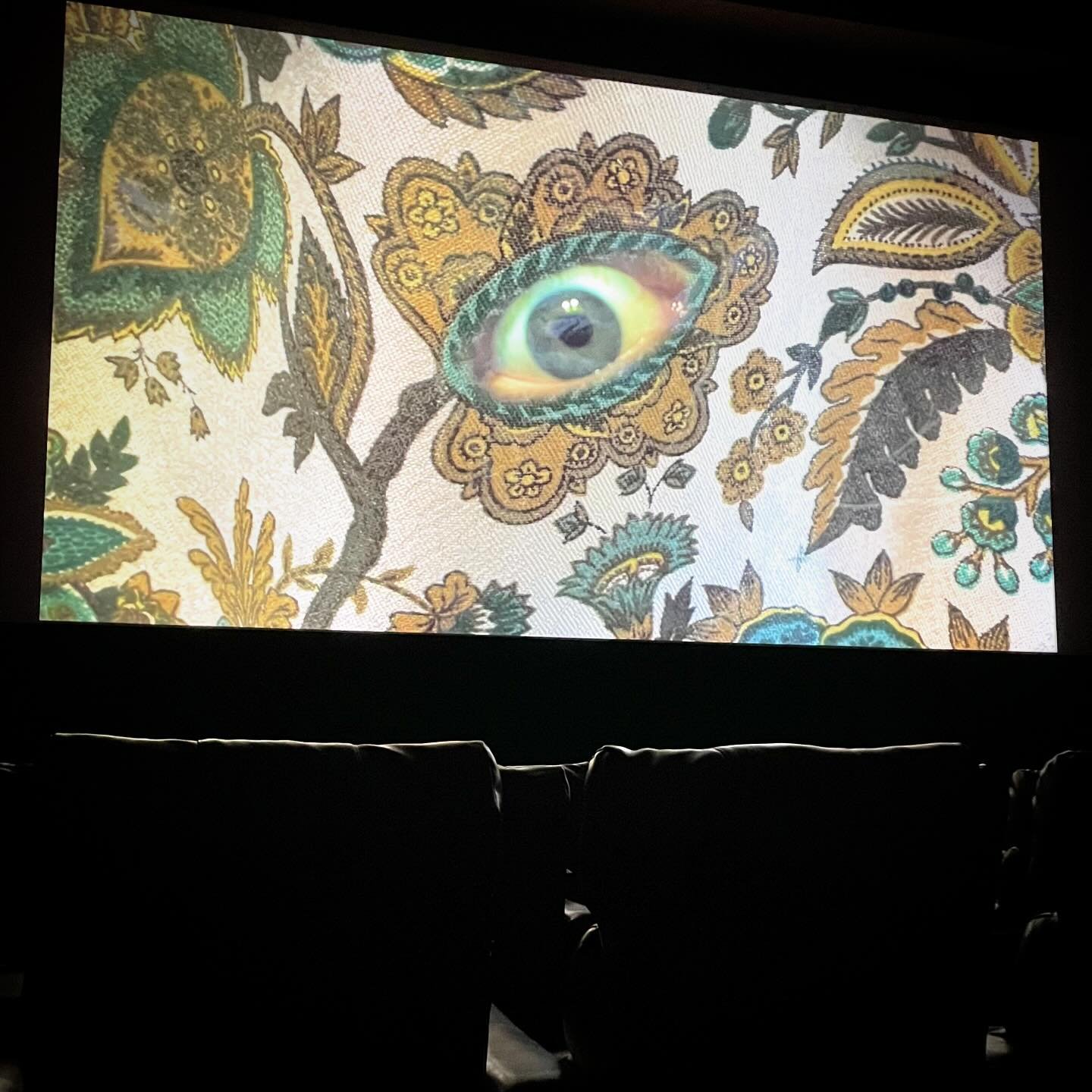 Two of my #experimentalfilms (The Harvest and An Illustrated Guide to Flowering Houseplants) screened this past week @amazingfantasyfest in #buffalony It was the festival #premiere of An Illustrated Guide and it was thrilling to see it on the big scr