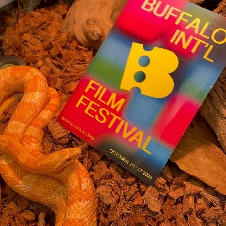 This Saturday is the #worldpremiere of Serpentine, my #experimental #essayfilm at WNED Buffalo Toronto Public Media on Lower Terrace in #buffalony 

Inspired by the true story of a pet snake rescued after she was hurled from a moving car, this #exper