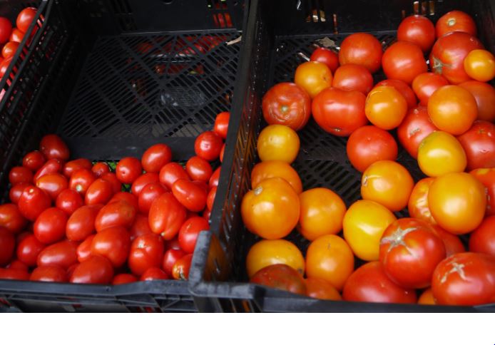 When preserving tomatoes, you get more bang for your buck with plum tomatoes (meaning more can be put in a jar, but I can a mix of tomatoes, whatever I need to preserve.
