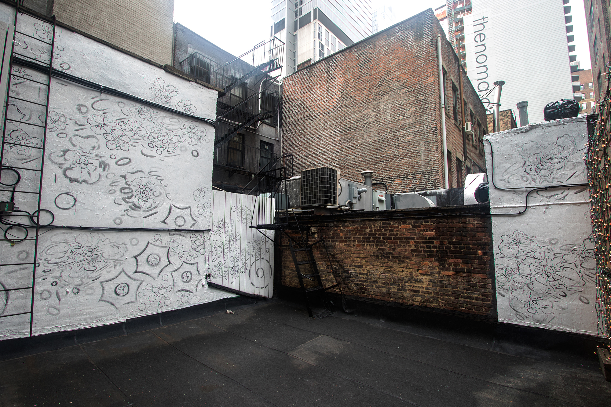 Volitia Returns, 2017 Acrylic and pencil on exterior walls, fences, masonry, stone and wood