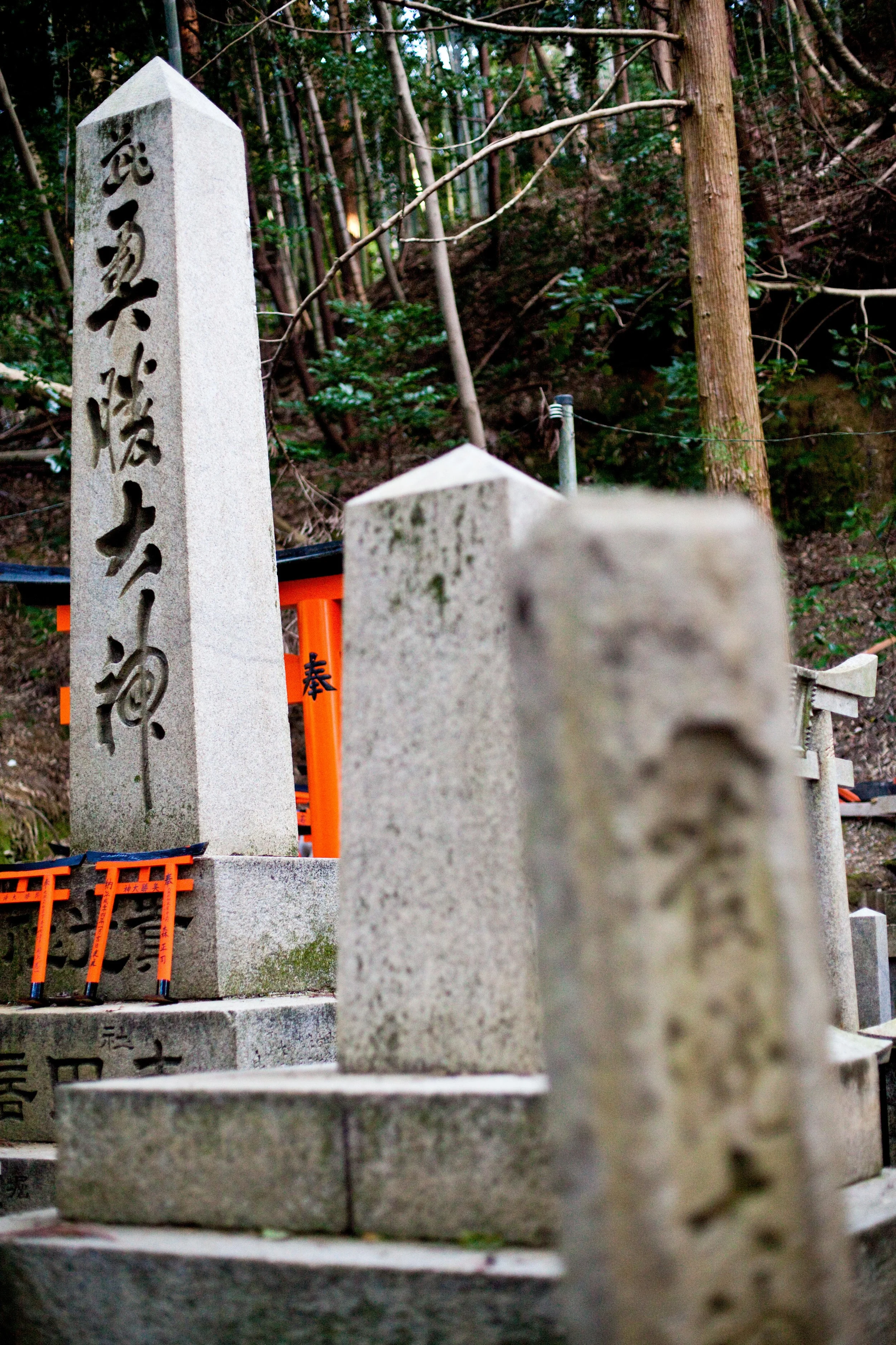 IzanagiIzanami.001-23.jpg