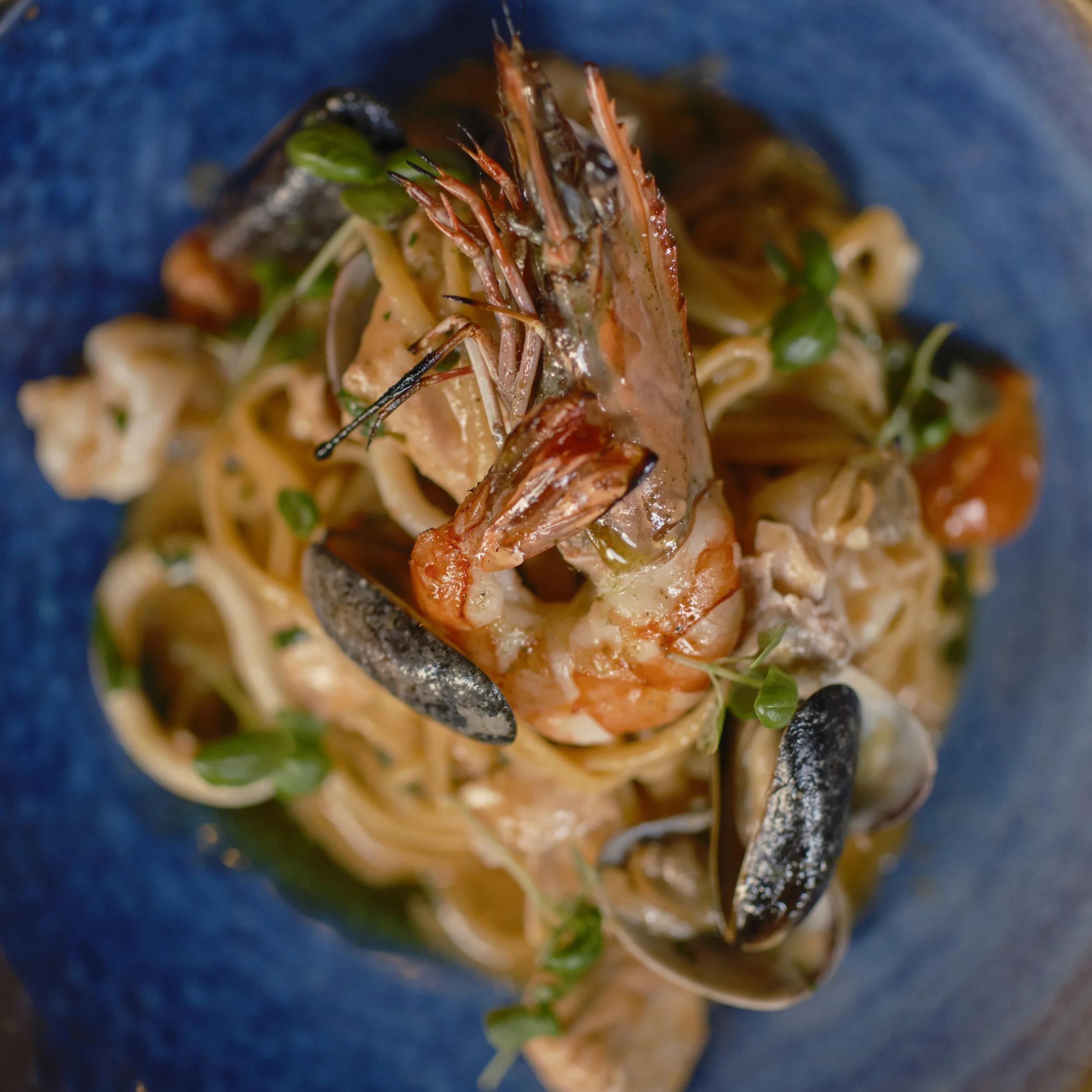 Selection.02 LOW RES PROOFS 6.jpg