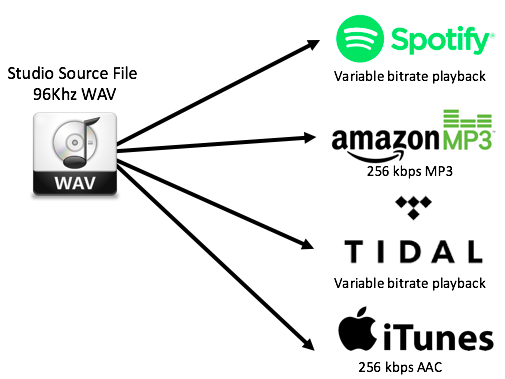Digital distribution chain
