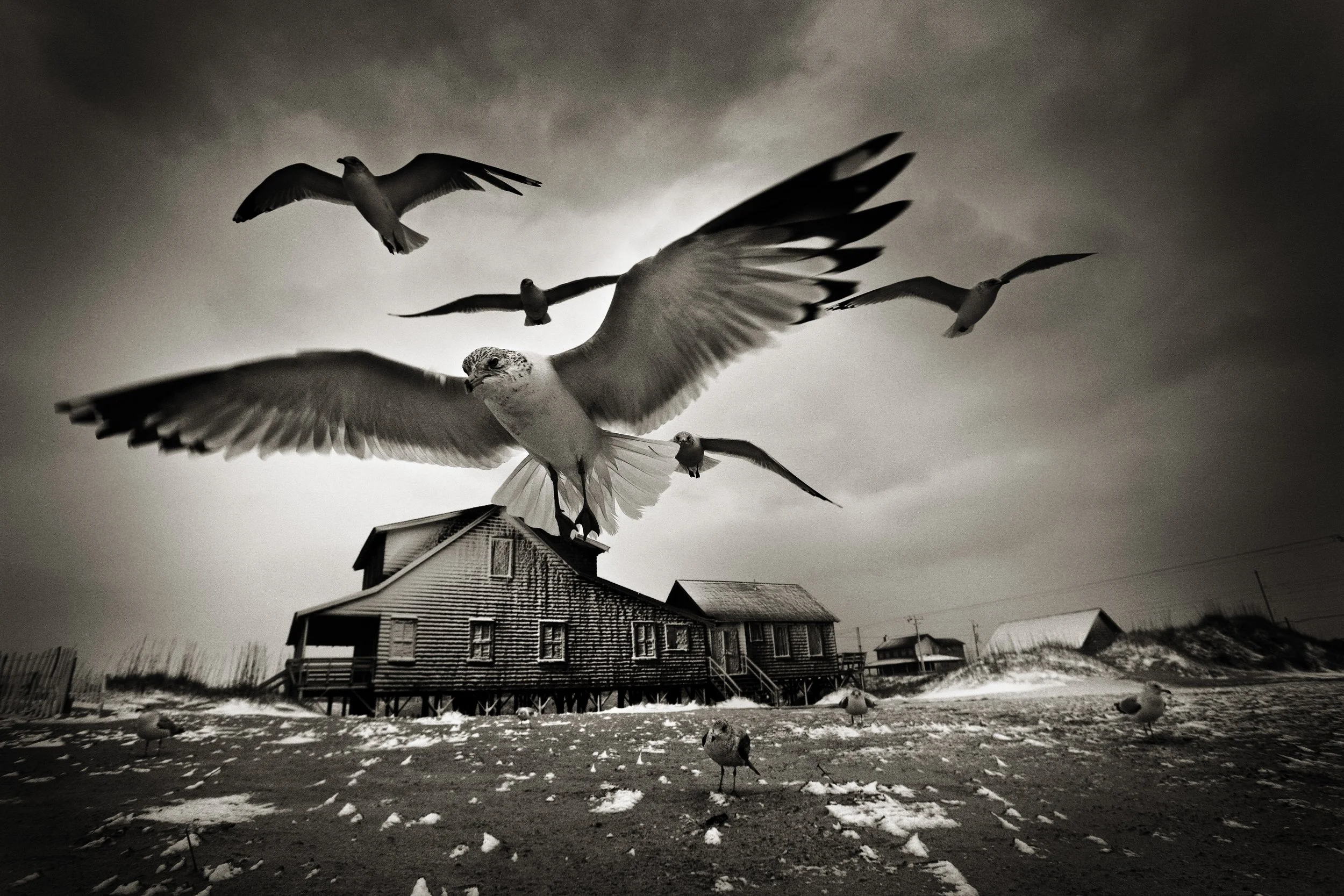 2427-52C BKF RGB Bickford_AfterTheStormBOOK.52.JPG