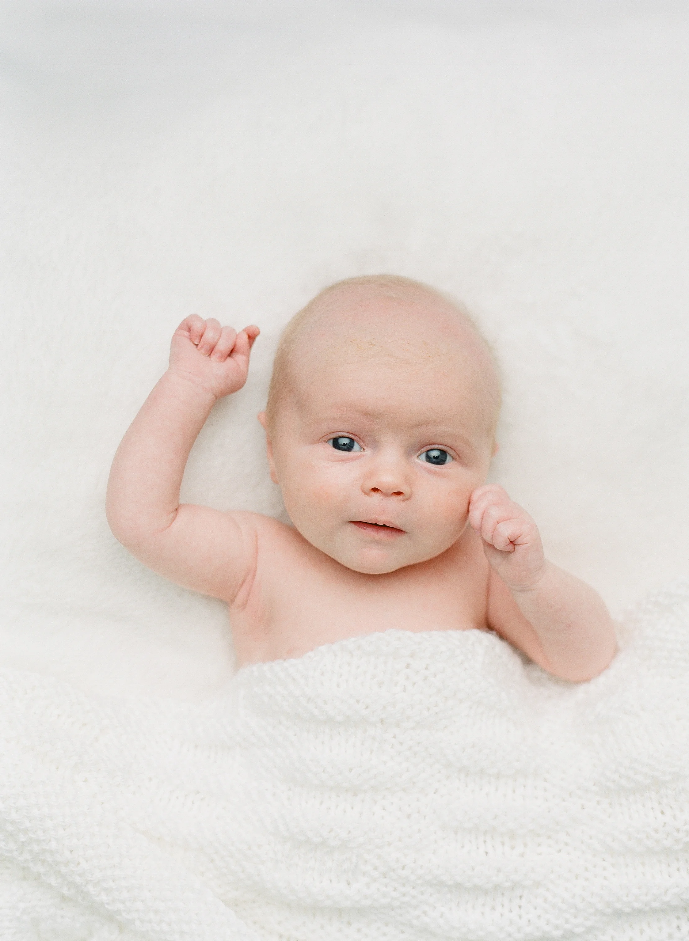 Newborn photography Seattle, by Sandra Coan. Studio photograph. Newborn in white blanket looking into the camera.