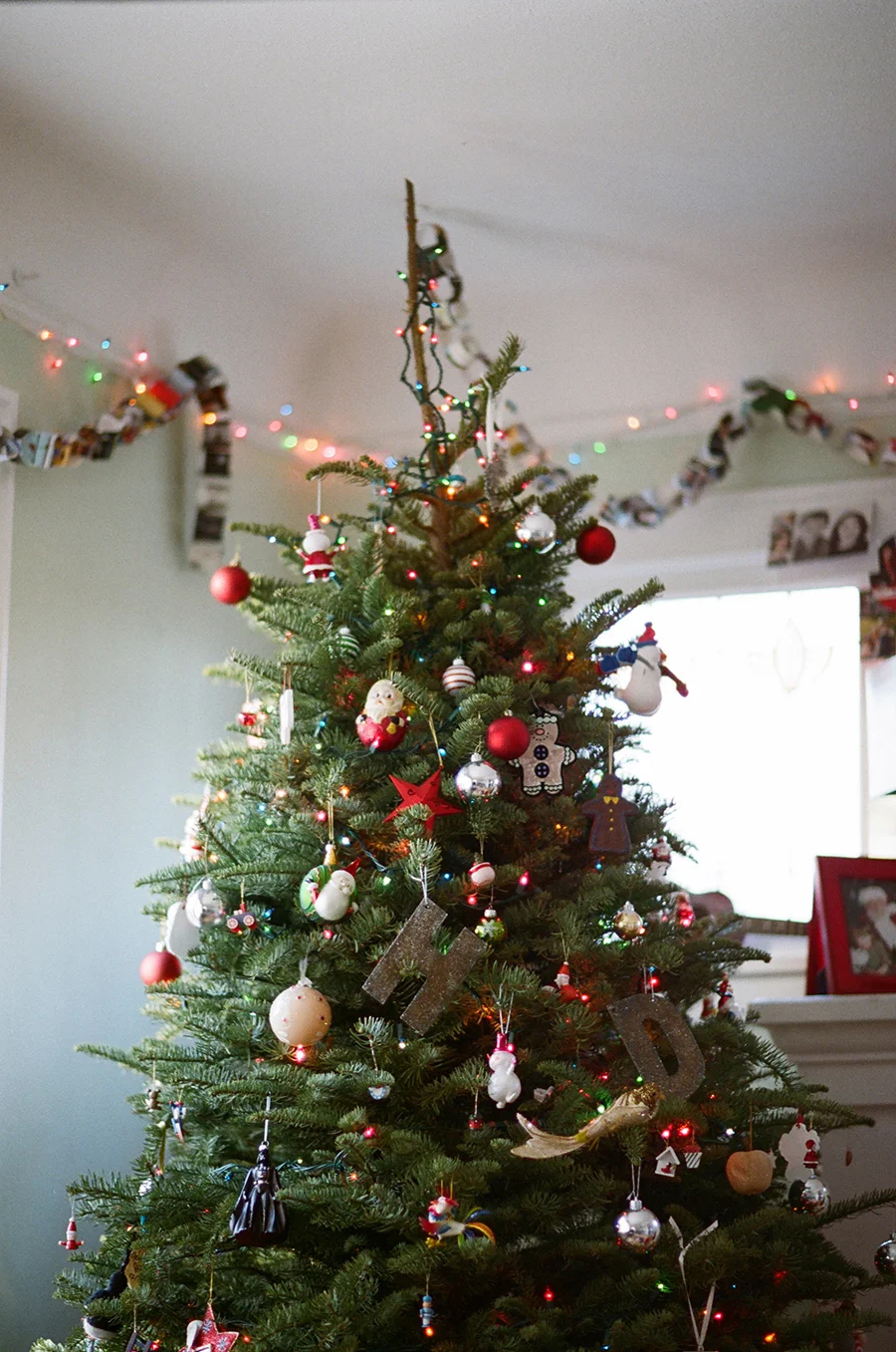 Five Tips for Photographing Christmas on Film
