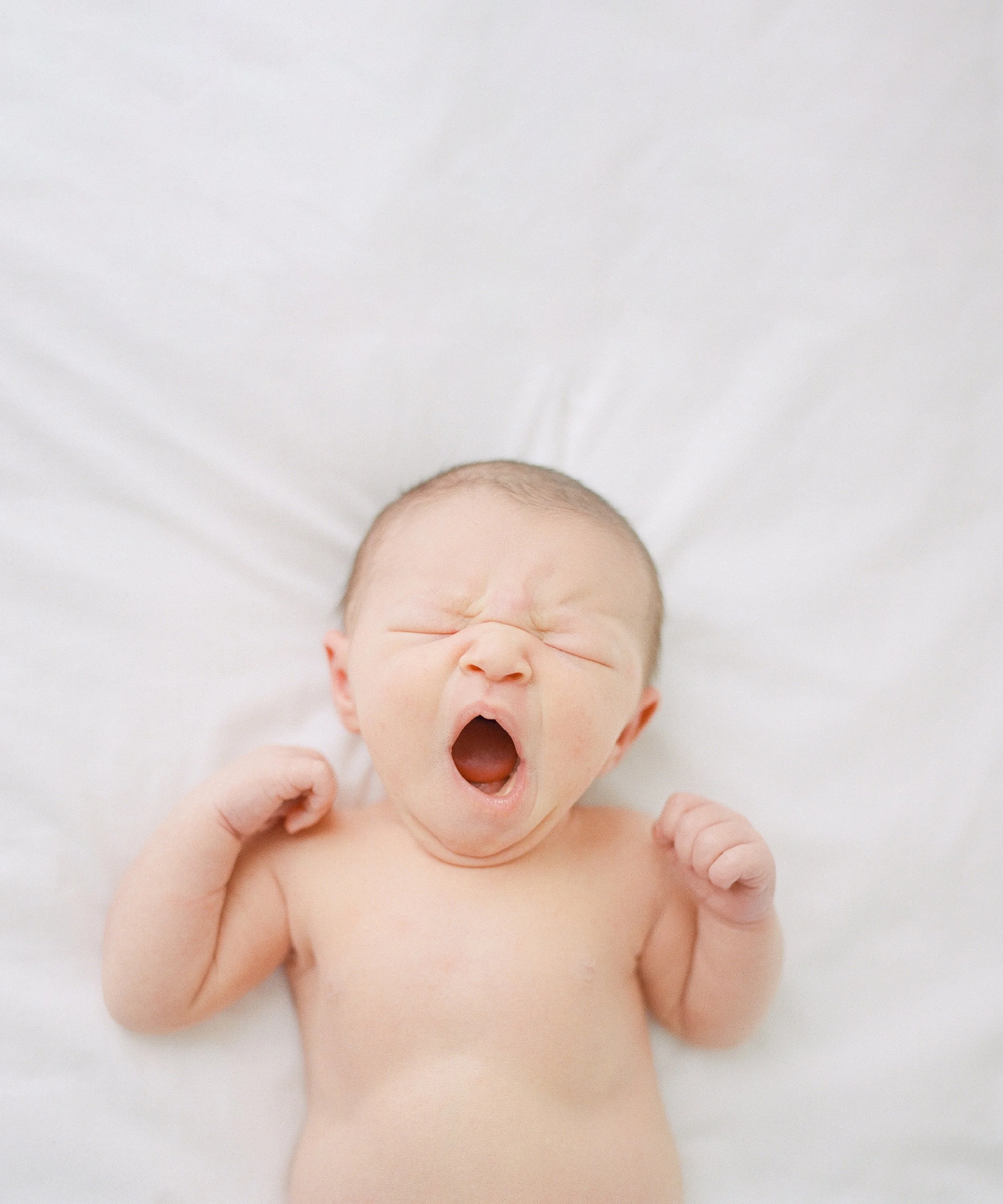 Studio Newborn Photos vs. In-Home Newborn Photos in Seattle (And Why My Studio Sessions Feel Different)