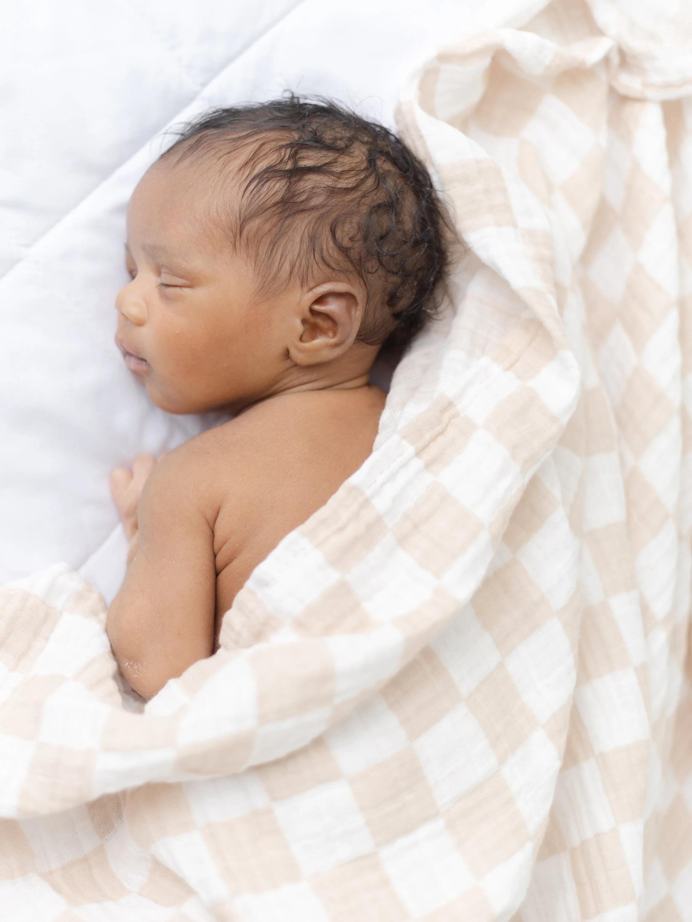 Why March is a Beautiful Time for Family Photos in Seattle