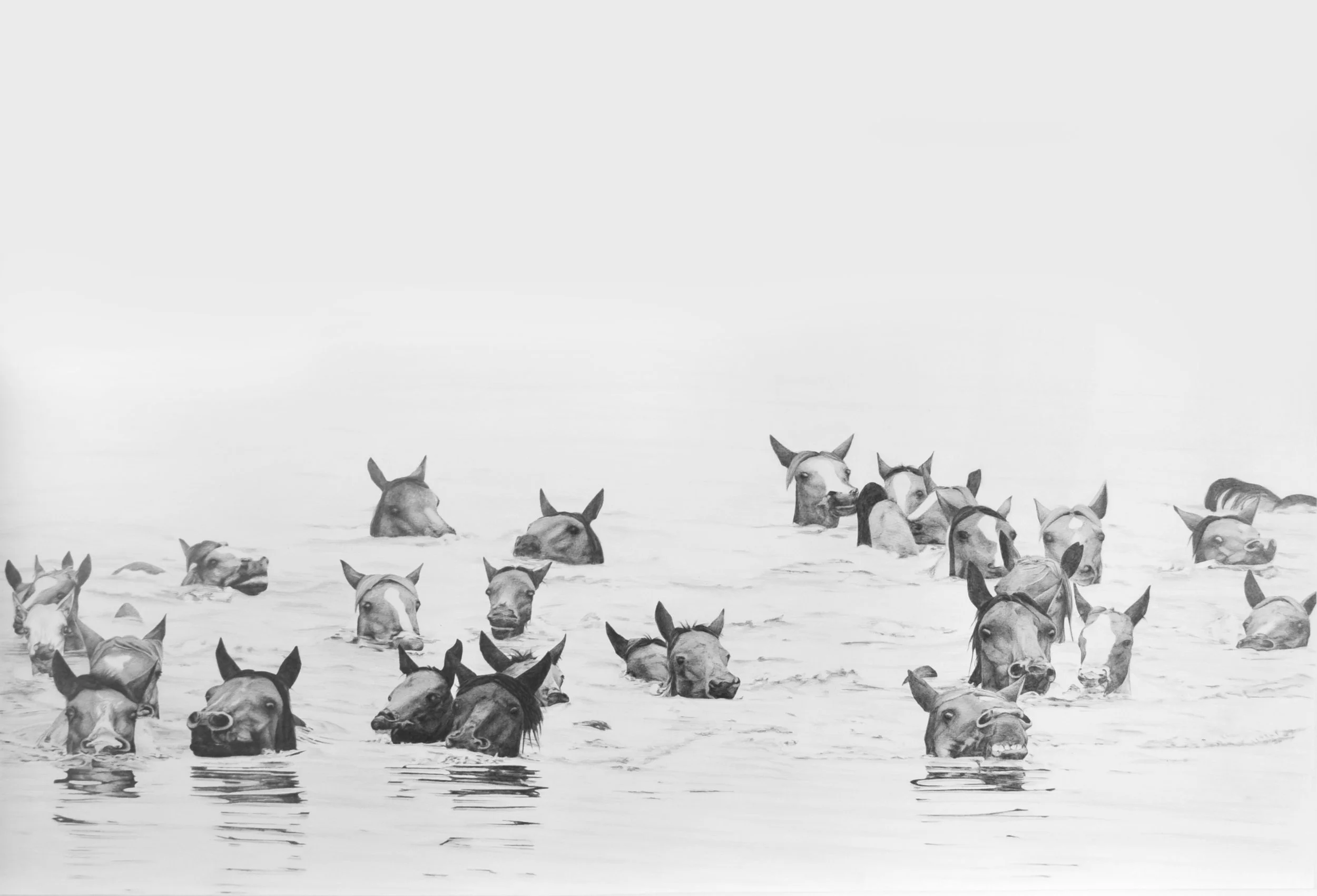 PONY SWIM / 26" X 36" / GRAPHITE ON PAPER