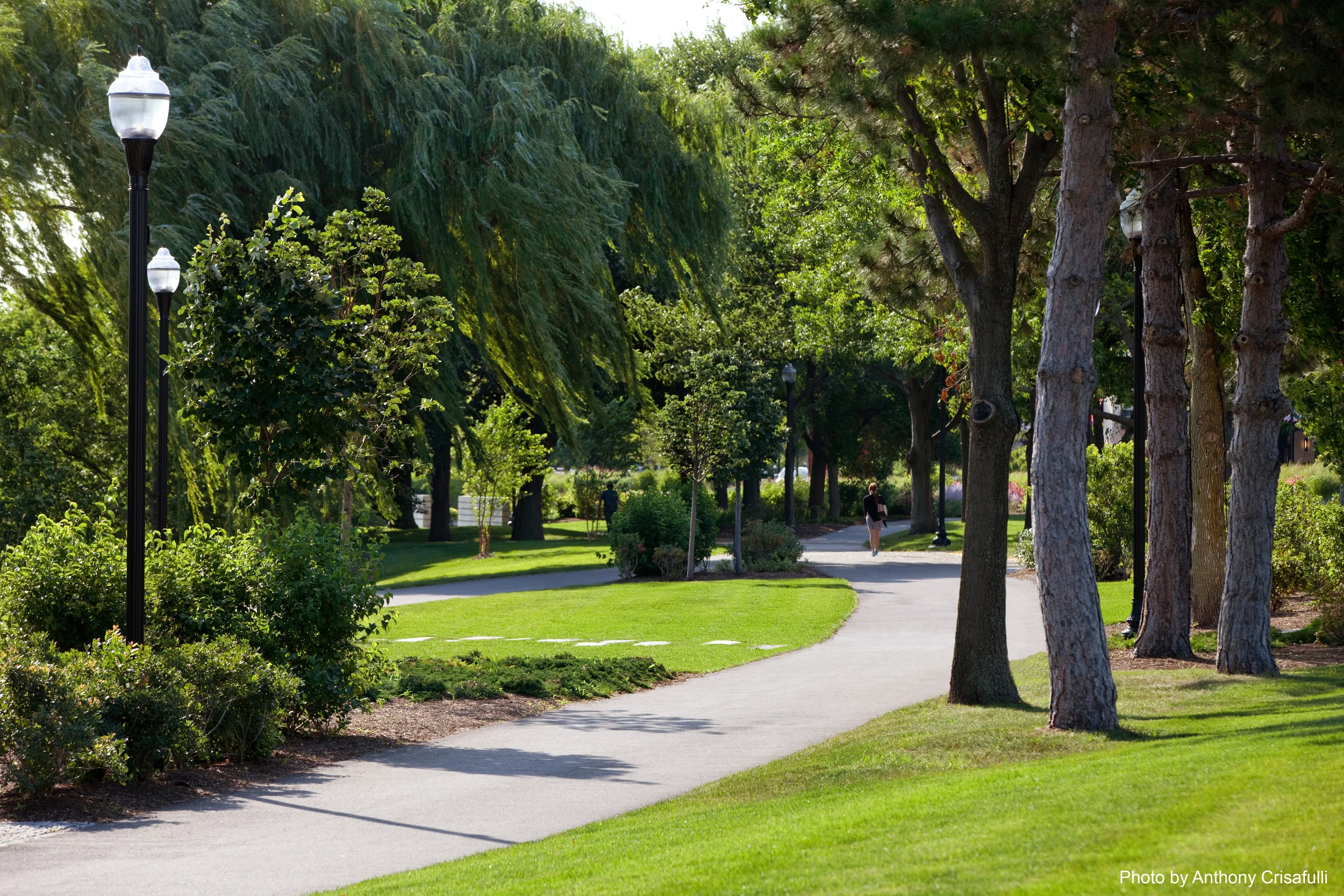 Baxter Riverfront Park, Somerville, MA (project completed while at CWDG)