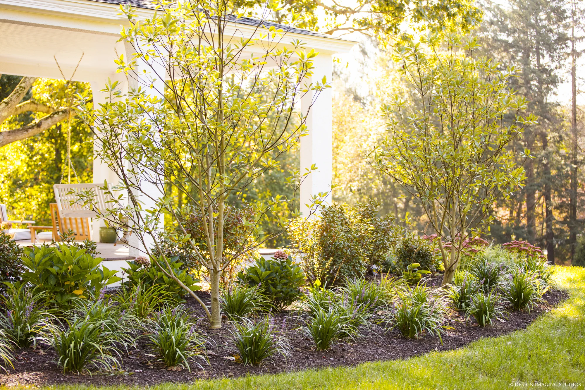 Oak Estate, Milton, MA: Side yard privacy planting. Photography © Design Imaging Studios